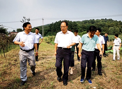 趙振華實(shí)地調(diào)研六國扶貧項(xiàng)目時(shí)要求    努力做強(qiáng)做優(yōu)集體產(chǎn)業(yè)   帶動更多群眾脫貧致富